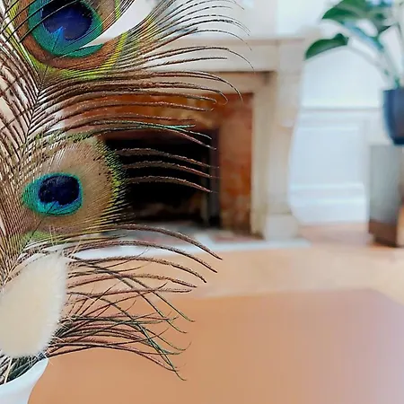 La Demeure Saint Sauveur 凯恩