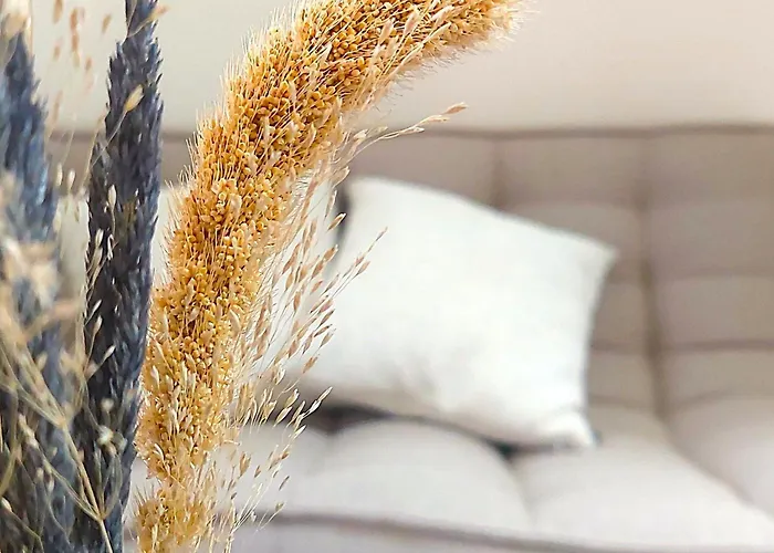 La Demeure Saint Sauveur Кан